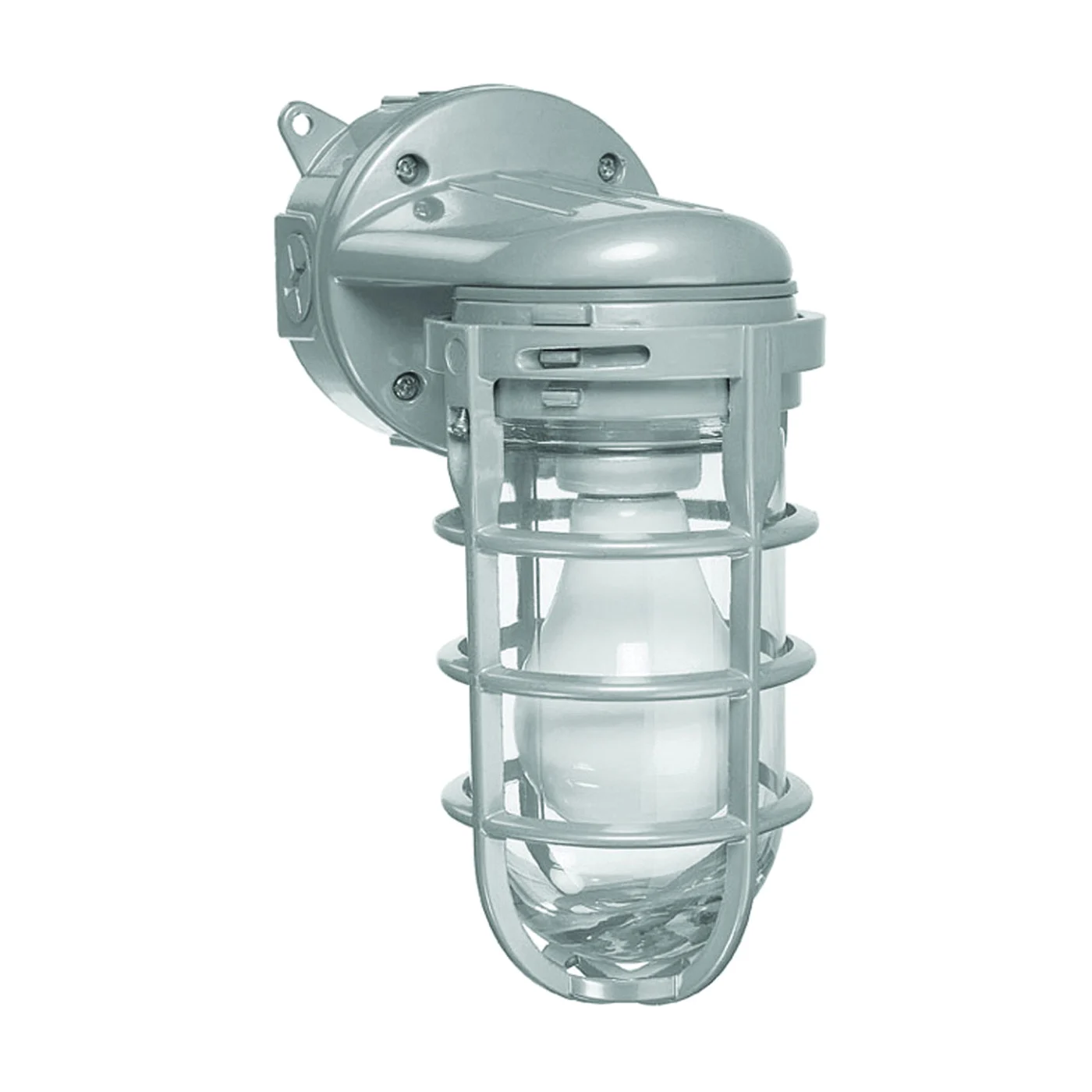 MCL150W Wall Mount Light, 120 VAC - Carlon