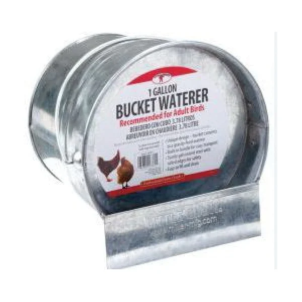 167611 Bucket Poultry Waterer, 1 gal Capacity, Galvanized Steel - Little Giant