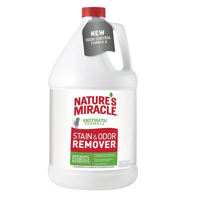 P-98228 Stain and Odor Remover, Liquid, Citrus, 1 gal