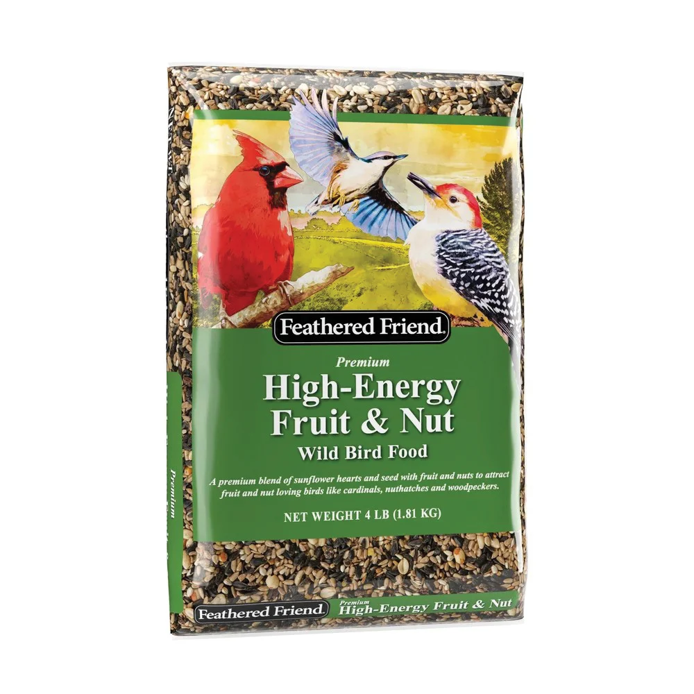 14392 Safflower Seed Fruit and Nut Wild Bird Food, 4 lb, Premium, Blended, Bag - Feathered Friend