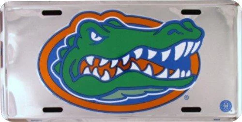 Florida Gators Super Stock Metal License Plate 6 x 12 - Hangtime