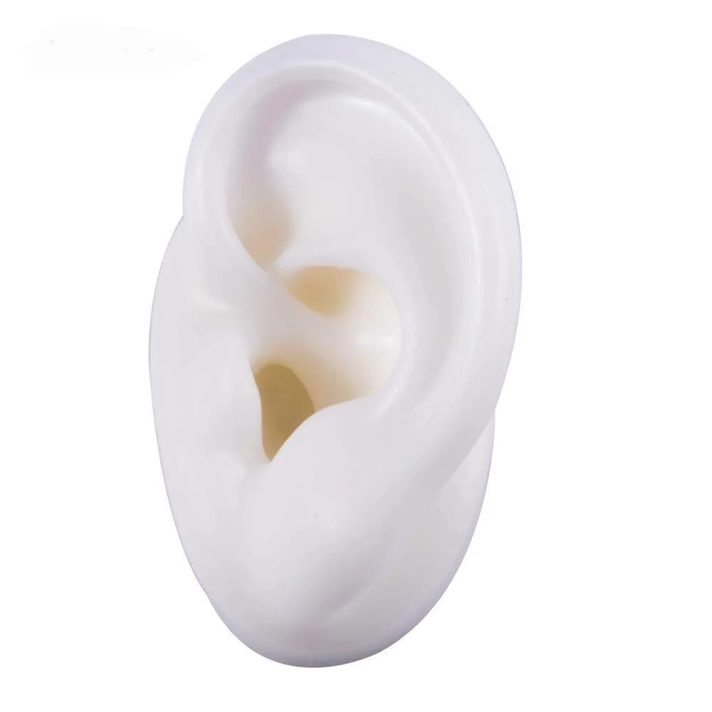 HUNIU Silicone Simulation Human Ear Model Earphone Earrings Jewelry show Props Practice Piercing Tools Display Tools For Hearing Aid(1PC White Left)
