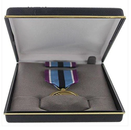 Medal Presentation Set: Humanitarian Service - Vanguard