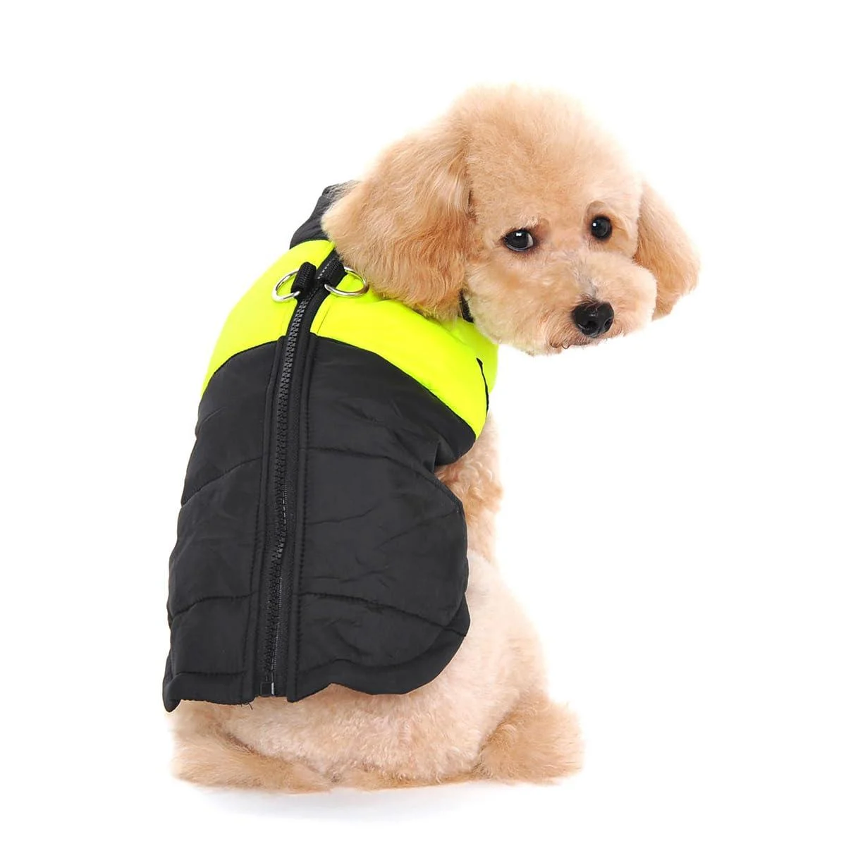 Ectkuee Winter Warm Pet Dog Clothes Small Waterproof Dog Coat Jacket Winter Quilted Padded Puffer Pet Clothes S Vert