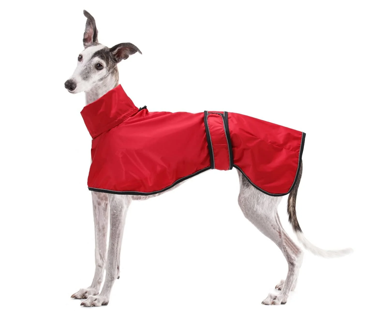 Dog Jacket Adjustable Lightweight Raincoat with Reflective Straps and Harness Hole Best Gift for Greyhounds Lurchers and Whippets -Red -M M Red