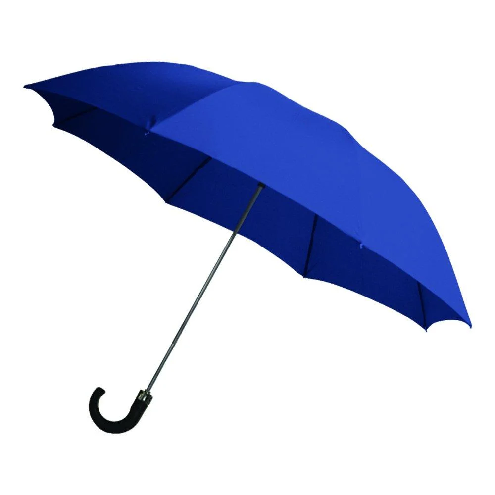 Rainbrella 2-Fold Auto Open Umbrella Blue