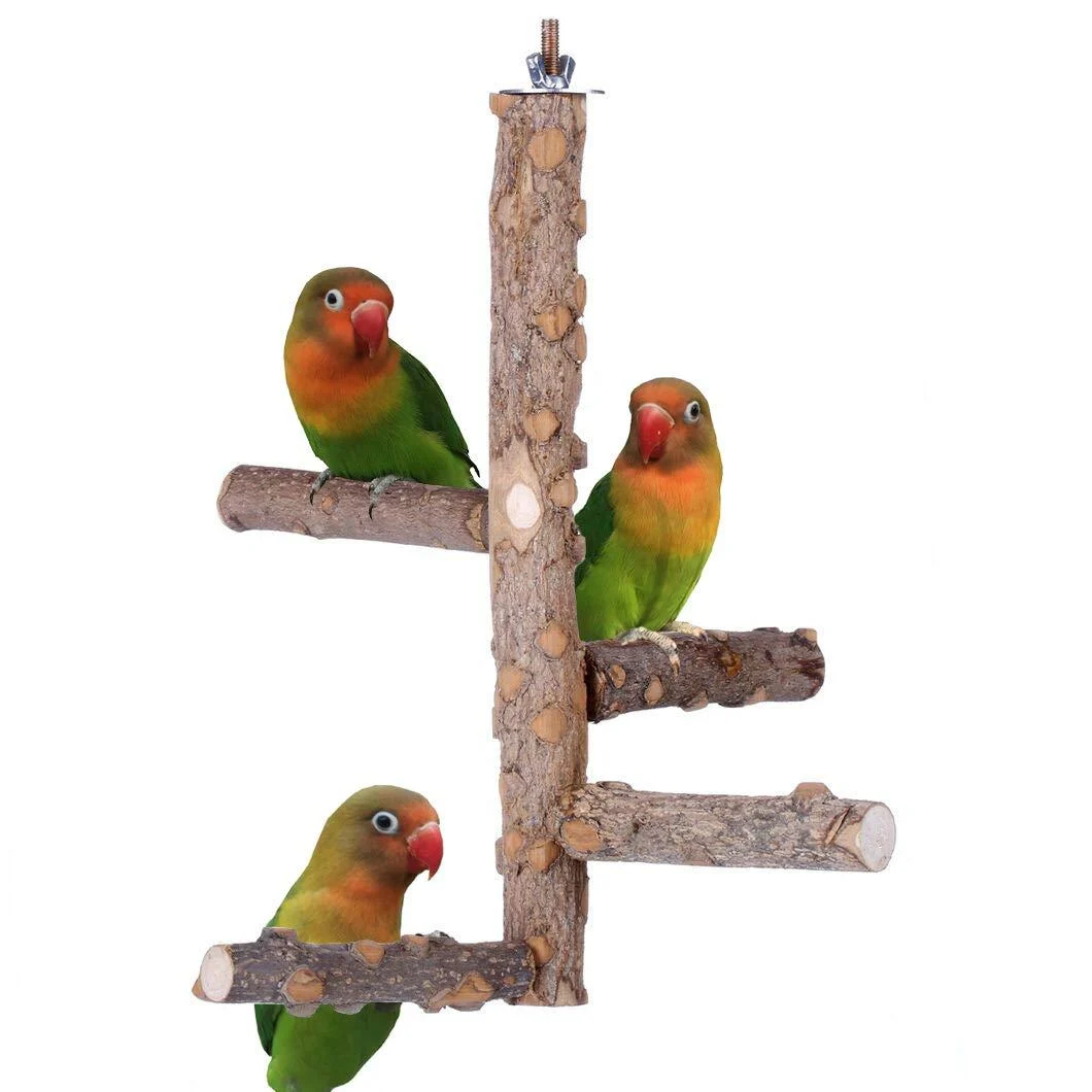 Bird Perch Nature Wood Stand for 3-4pcs Small Medium Parrots