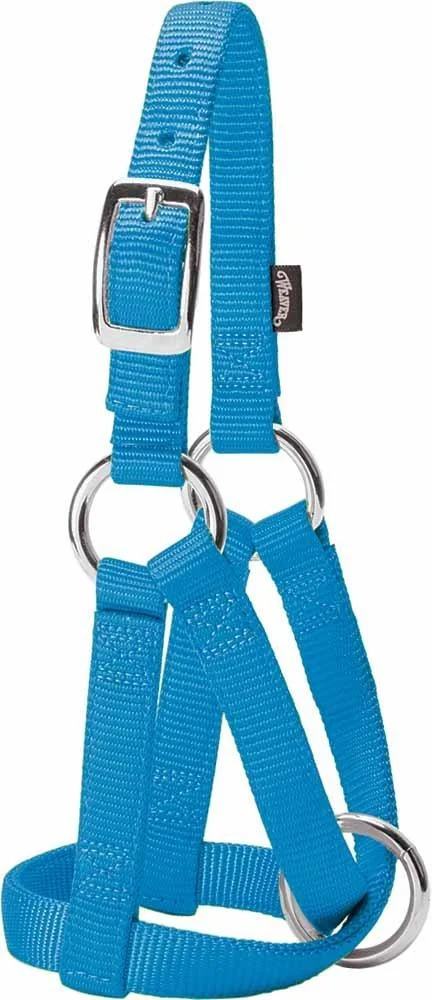 Weaver Leather Goat Halter Hurricane Blue Small/3/4-Inch