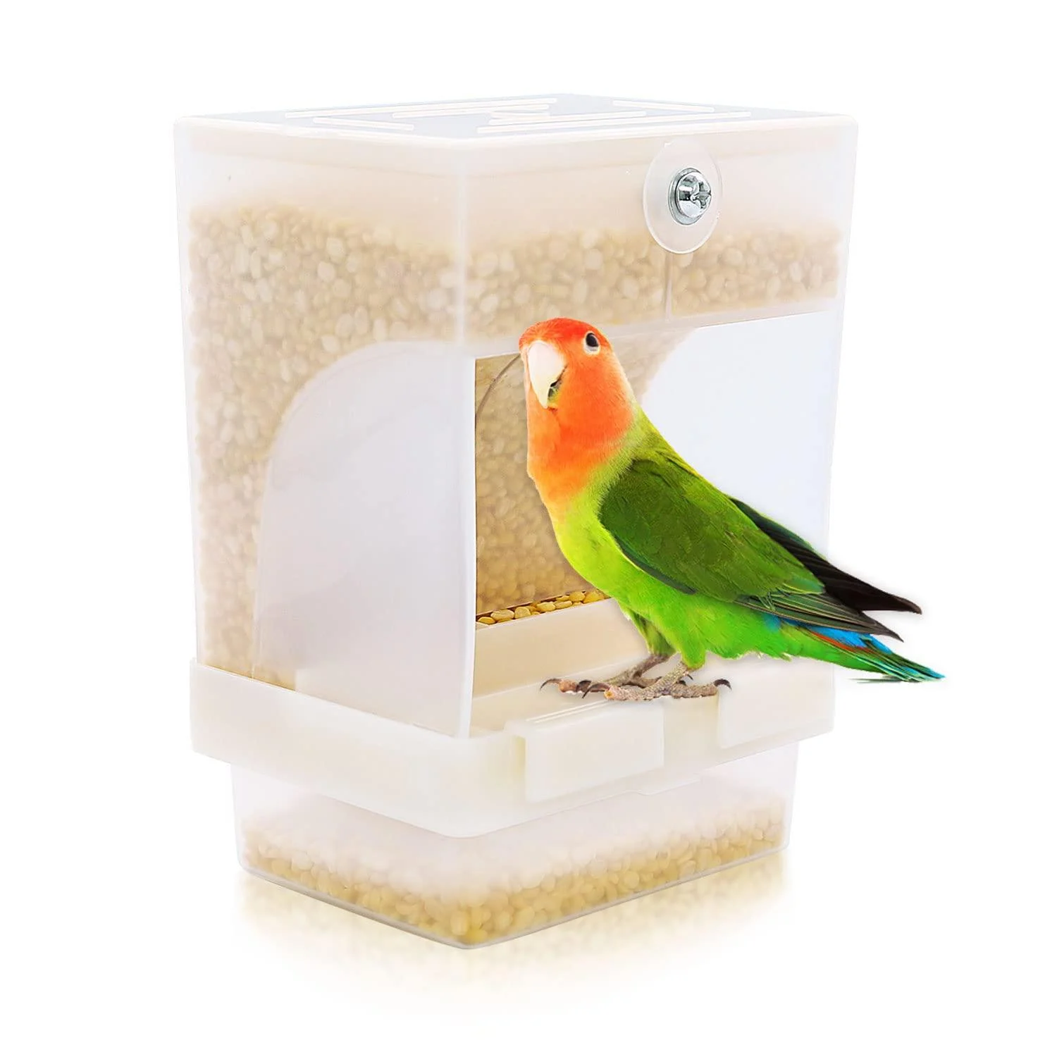 Rypet No Mess Bird Feeder, Integrated Parrot Automatic Feeder for Small to Medium Birds Seed Food Container Translucent