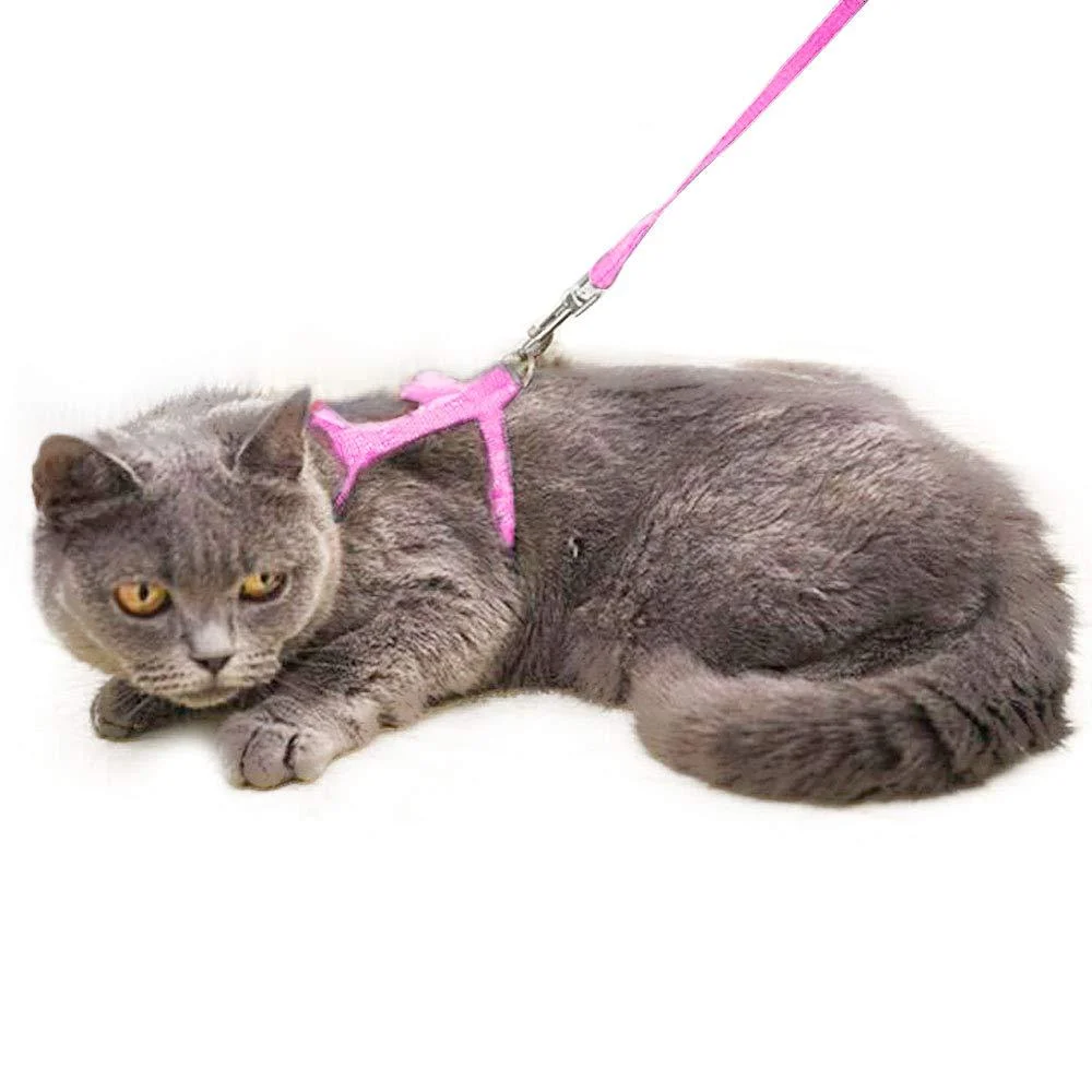 Cat Set of Harness Nylon Lead 125cm (Pink) - Soft Adjustable - Best for Kitten Walking