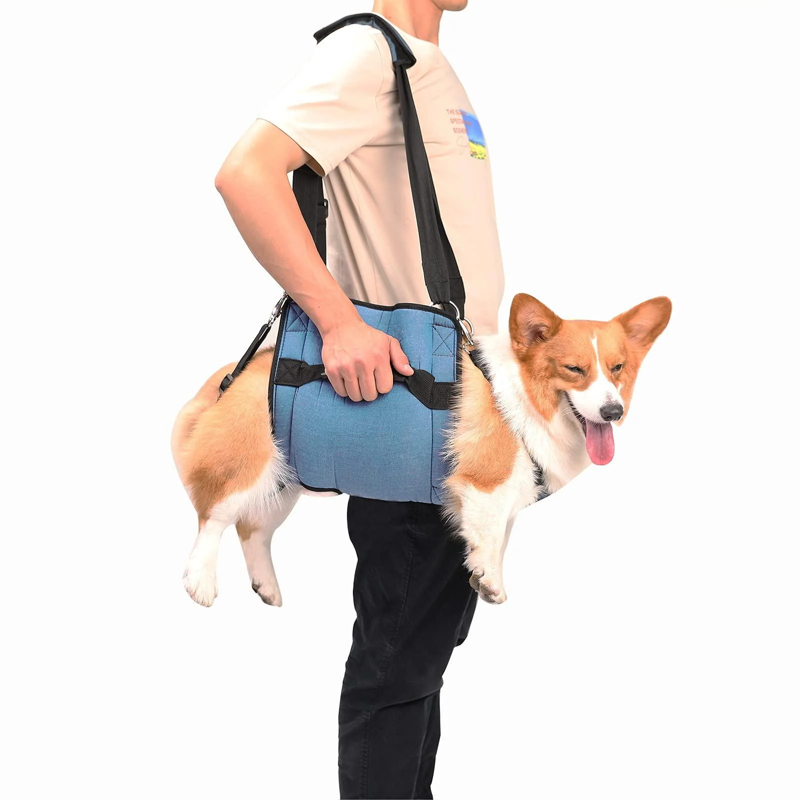 Coodeo Dog Carry Sling Emergency Backpack Pet Legs Support & Rehabilitation Dog Lift Harness for Nail Trimming Dog Carrier for Senior Dogs Joint Injuries Arthritis Up and Down Stairs (L Blue) Large Blue