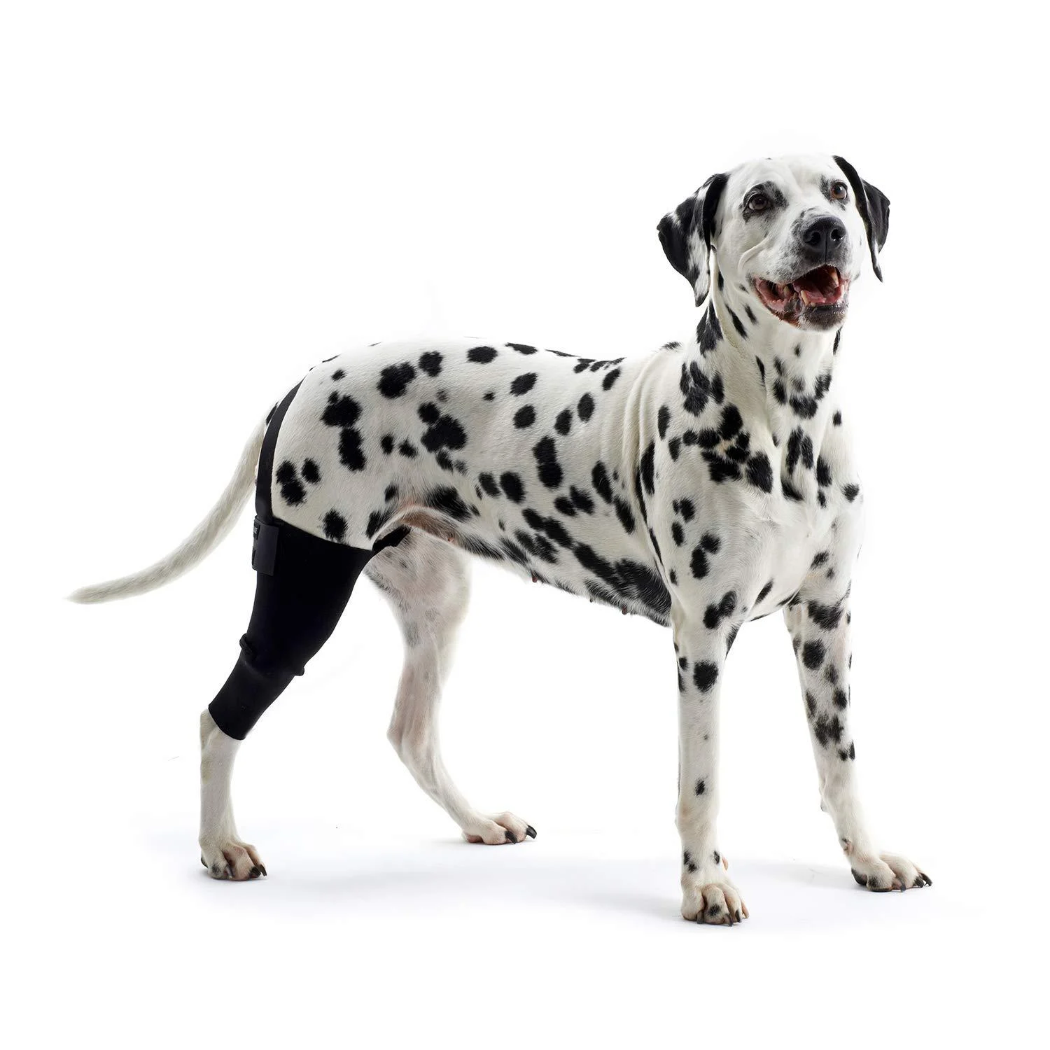 Kruuse Left Rehab Knee Protector for Dogs Left X-Small XS Left
