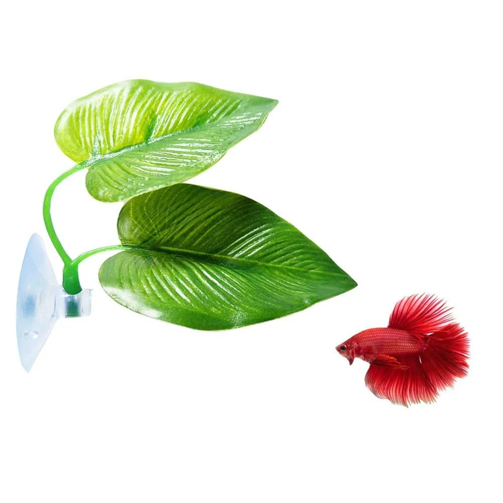 Cousduobe Betta Fish Leaf Pad - Improves Betta's Health by Simulating The Natural Habitat( Double Leaf Design one Big and one Small )