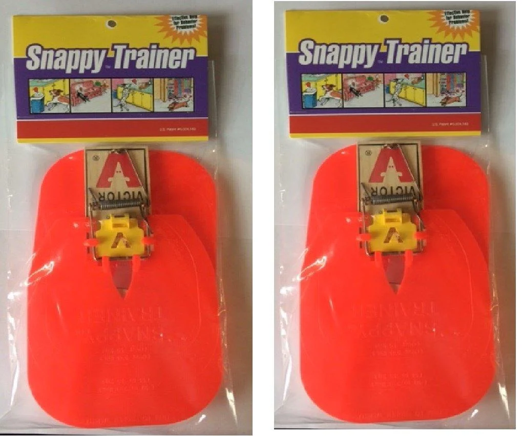 Hueter Toledo Snappy Trainer