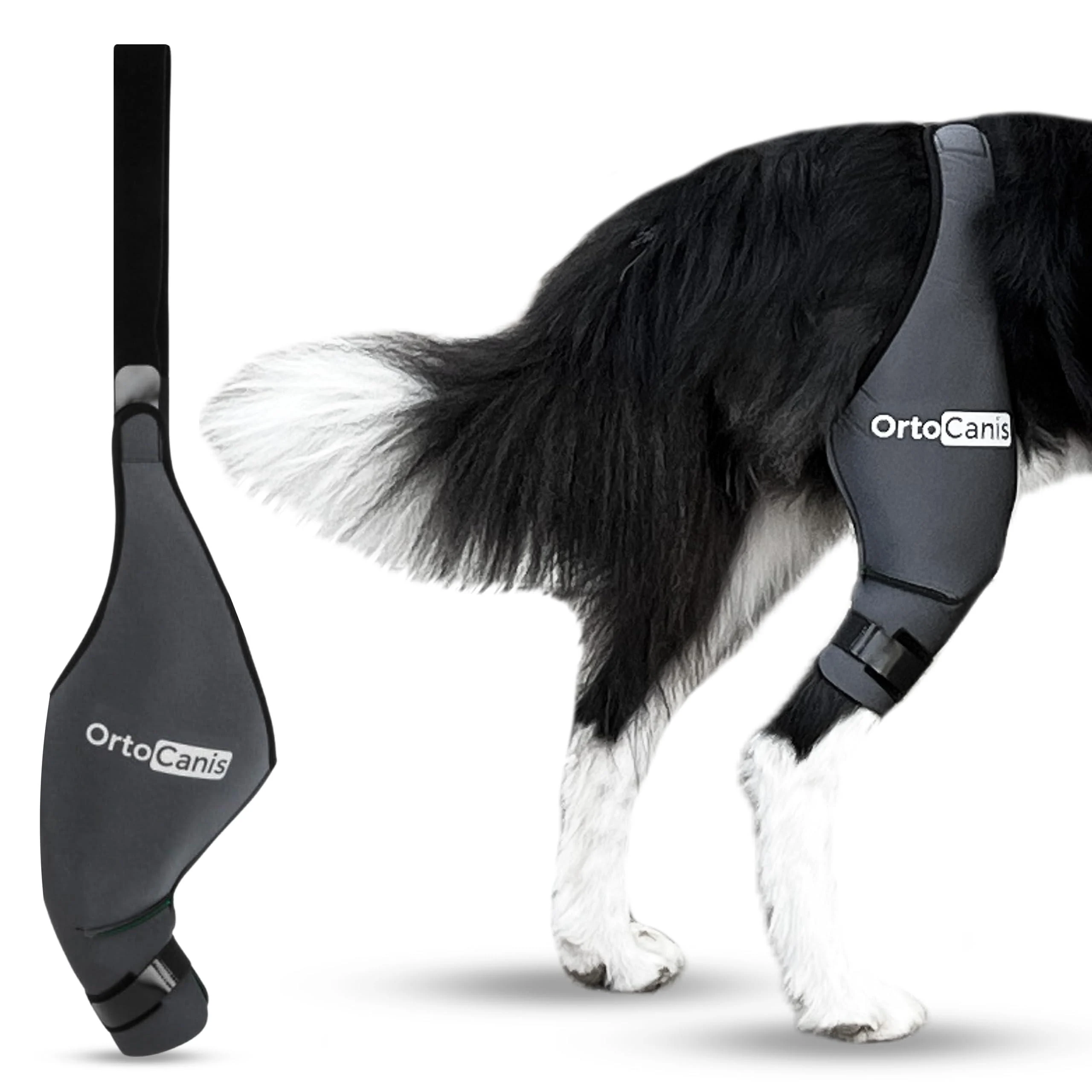 Ortocanis Kniebandage Dog Hinterbein Left Leg Size XXXS - Bandage Dog Hind leg with cruciate ligament injuries patellar luxation or arthrosis Left leg size XXX -SMALL