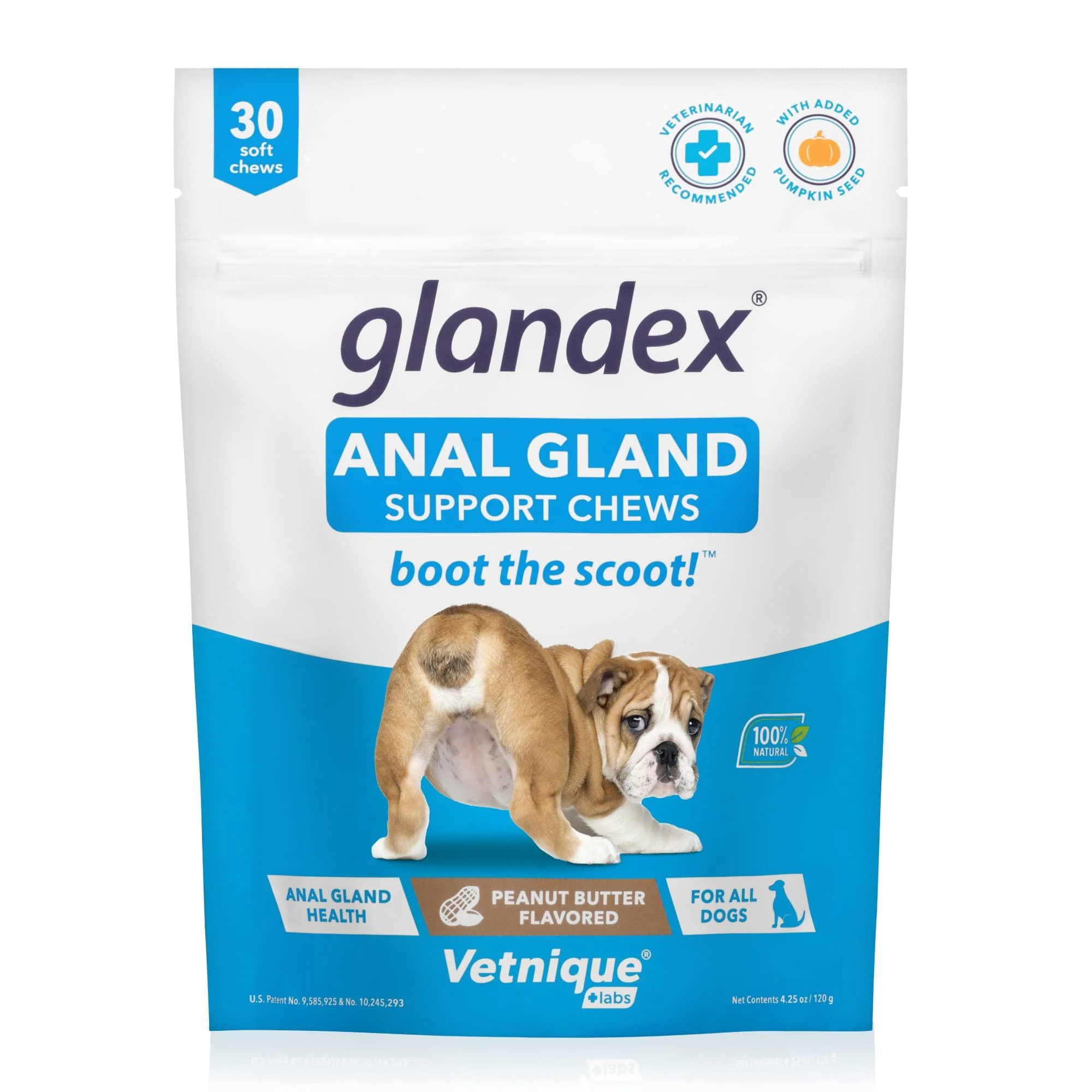 Glandex Fibre Supplements Dog Soft Chews with Pumpkin for Dogs Digestive Enzyme & Probiotic - Vet Recommended to Boot the Scoot (30ct Chew)