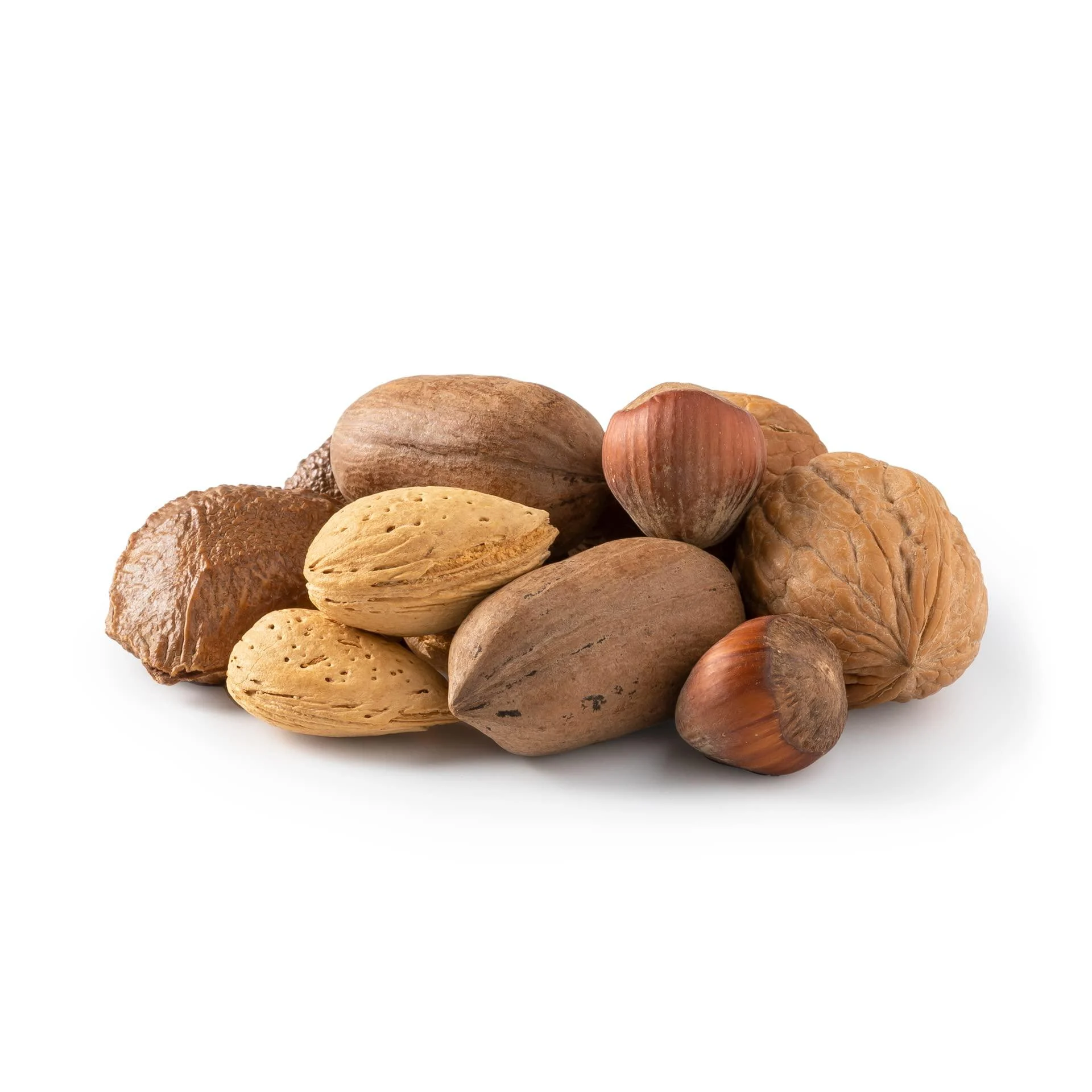 NUTS U.S. – Mixed Nuts In Shell (Almonds, Walnuts, Hazelnuts, Pecans, Brazil Nuts) | No Added Colors and No Artificial Flavors | Fresh Buttery Taste and Raw |Packed In Resealable Bags!!! (2 LBS) 2 Pound (Pack of 1) - NUTS - U.S. - HEALTH IN EVERY BITE !