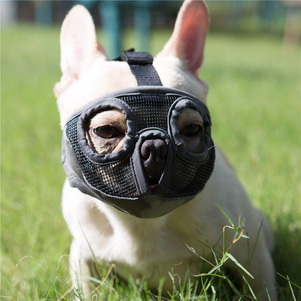JYHY Short Snout Dog Muzzle- Adjustable Breathable Mesh Bulldog Muzzle for Biting Chewing Barking Training Dog Mask New Gray M M(28-43cm) Gray(Eyehole)