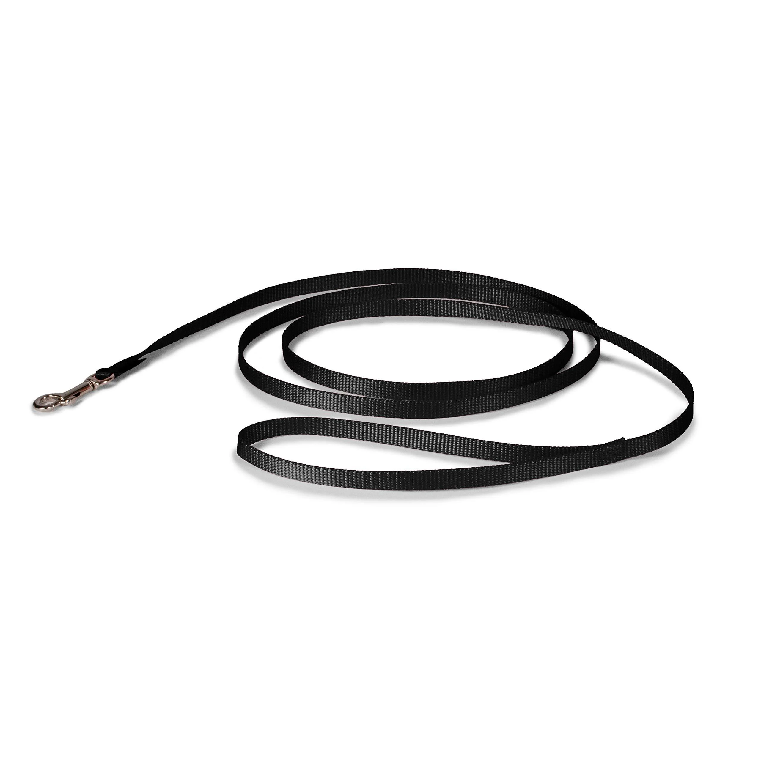 PetSafe Nylon Dog Leash - Strong, Durable, Traditional Style Leash with Easy to Use Bolt Snap - Available in Multiple Widths and Colors 3/8 in. x 6 ft. Black