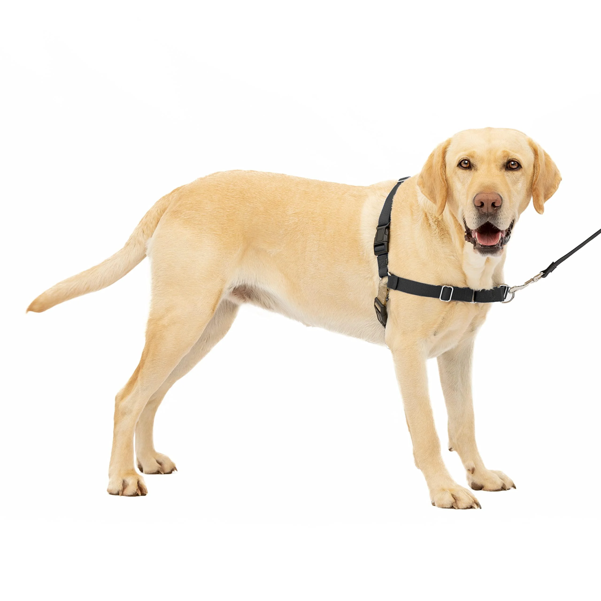 PetSafe Easy Walk Harness Anti-Pull Dog Harness Reduces Choking and Coughing With 1.8M Leash Size L Black L Black