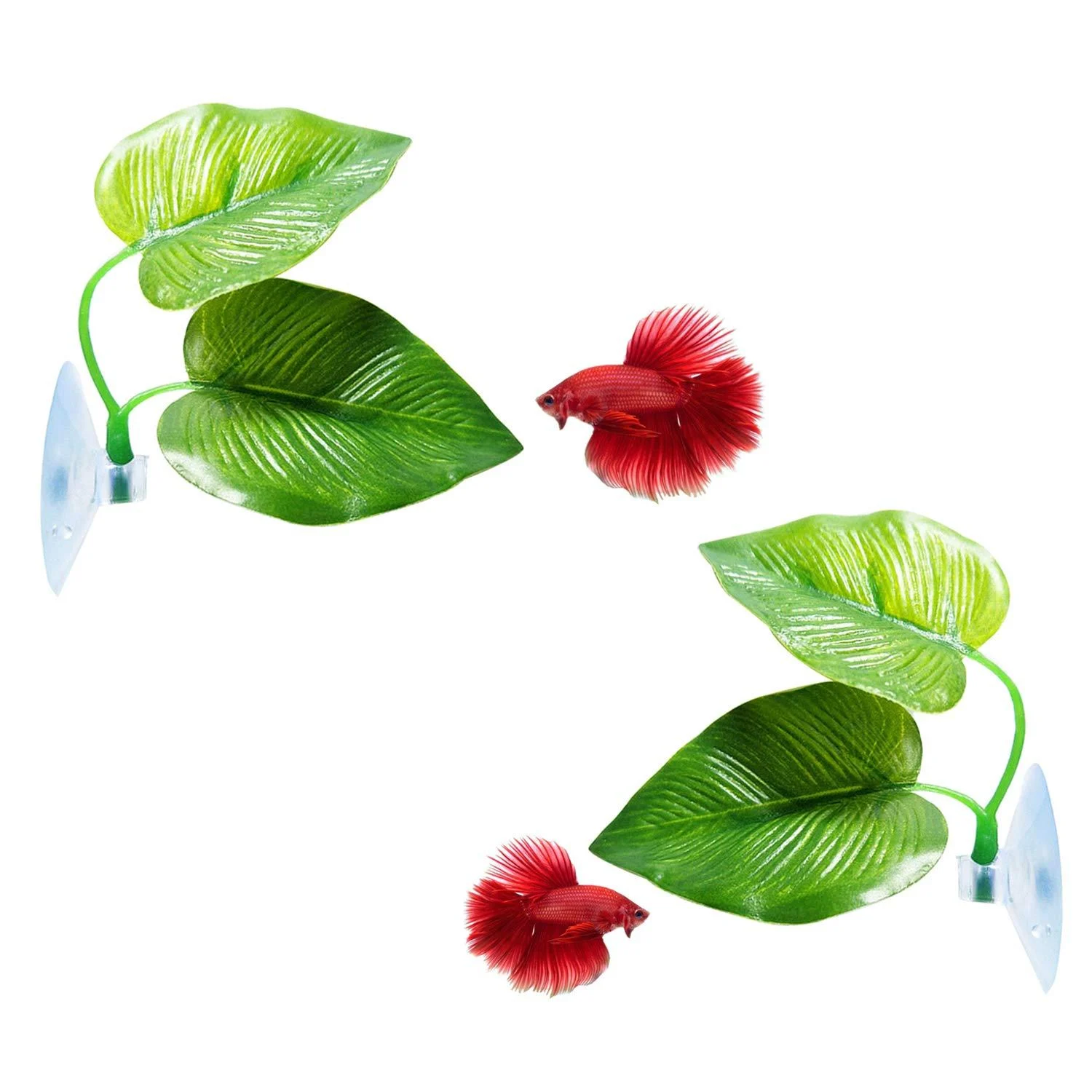 Cousduobe Betta Fish Leaf Pad - Improves Betta's Health by Simulating The Natural Habitat( Double Leaf Design, one Big and one Small ) 2 Pack Betta Fish Leaf