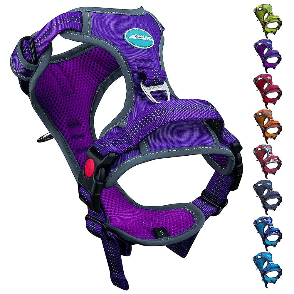 Thinkpet no-pull dog harness breathable breast dishes for small medium large dogs adjustable soft running harness safe control padded reflective safety harness bright purple 2xl (1 Pack)