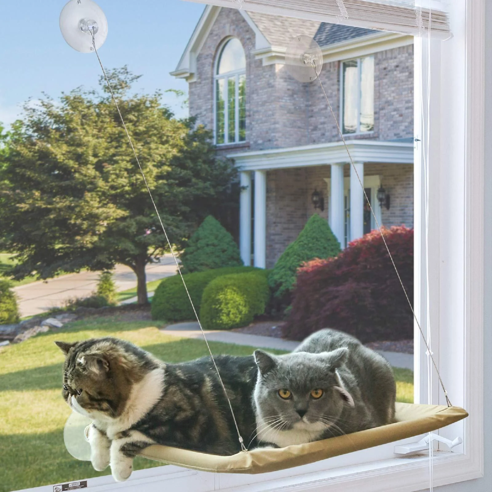 NOYAL Cat Window Perch Seat Hammock Strong Suction Cups Holds Up to 30lbs(Extra 2 Suction Cups) Cream