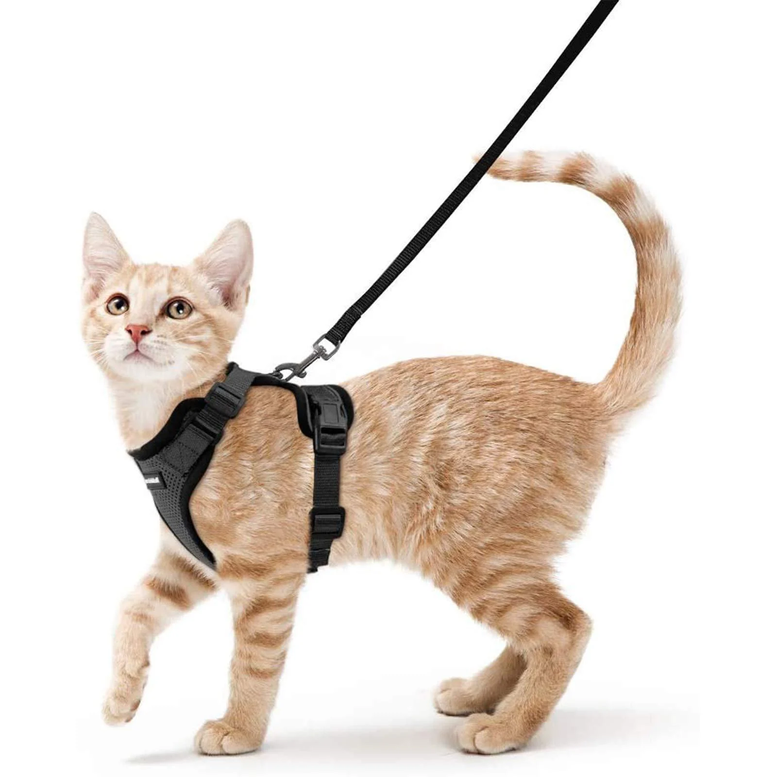 rabbitgoo Cat Harness and Leash for Walking, Escape Proof Soft Adjustable Vest Harnesses for Cats, Easy Control Breathable Reflective Strips Jacket XS Black