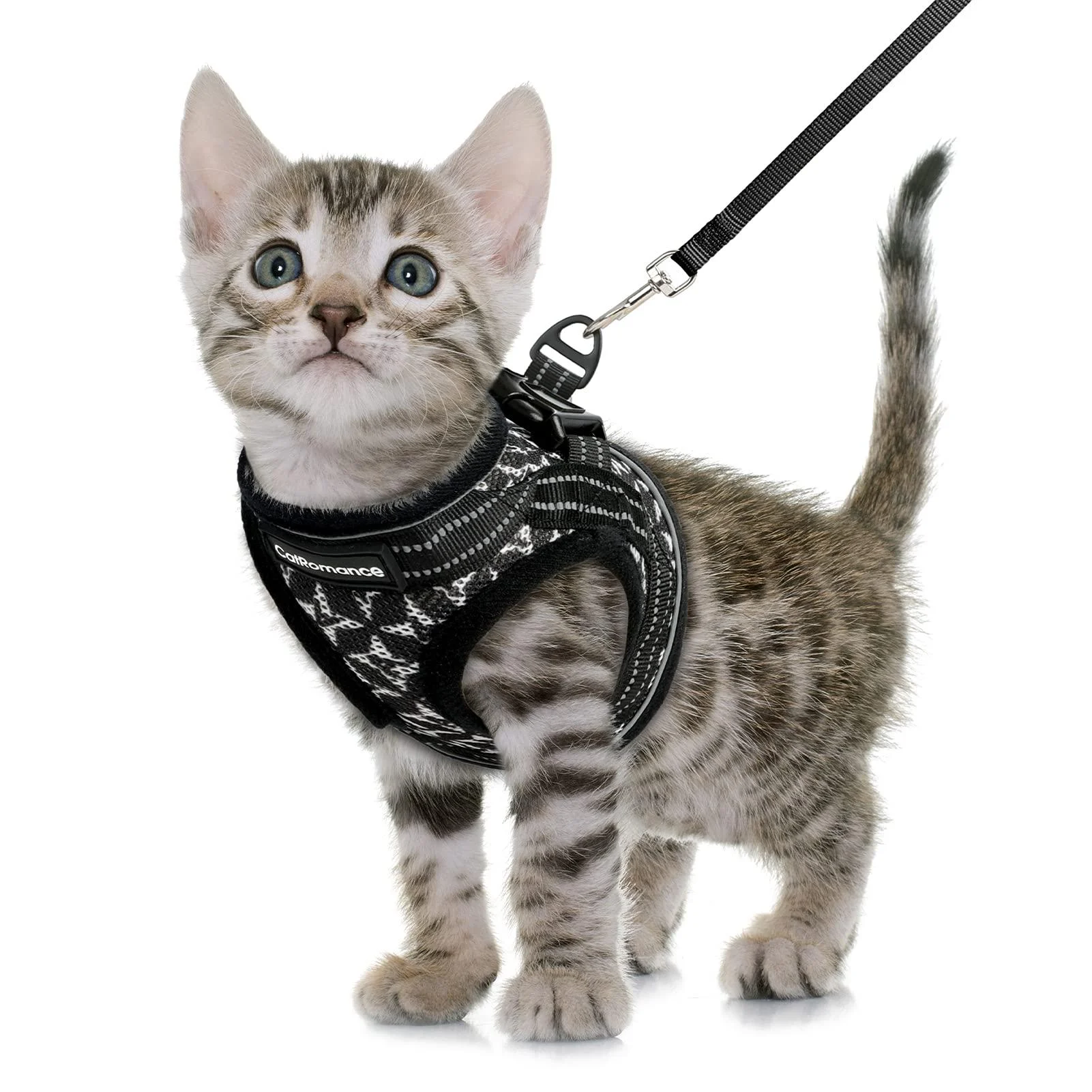 CatRomance Cat Harness and Leash, Escape Proof Kitten Harness and Leash Set for Walking S: Chest 10.5-11.5"|Weight 3.3-6.6 lbs Black