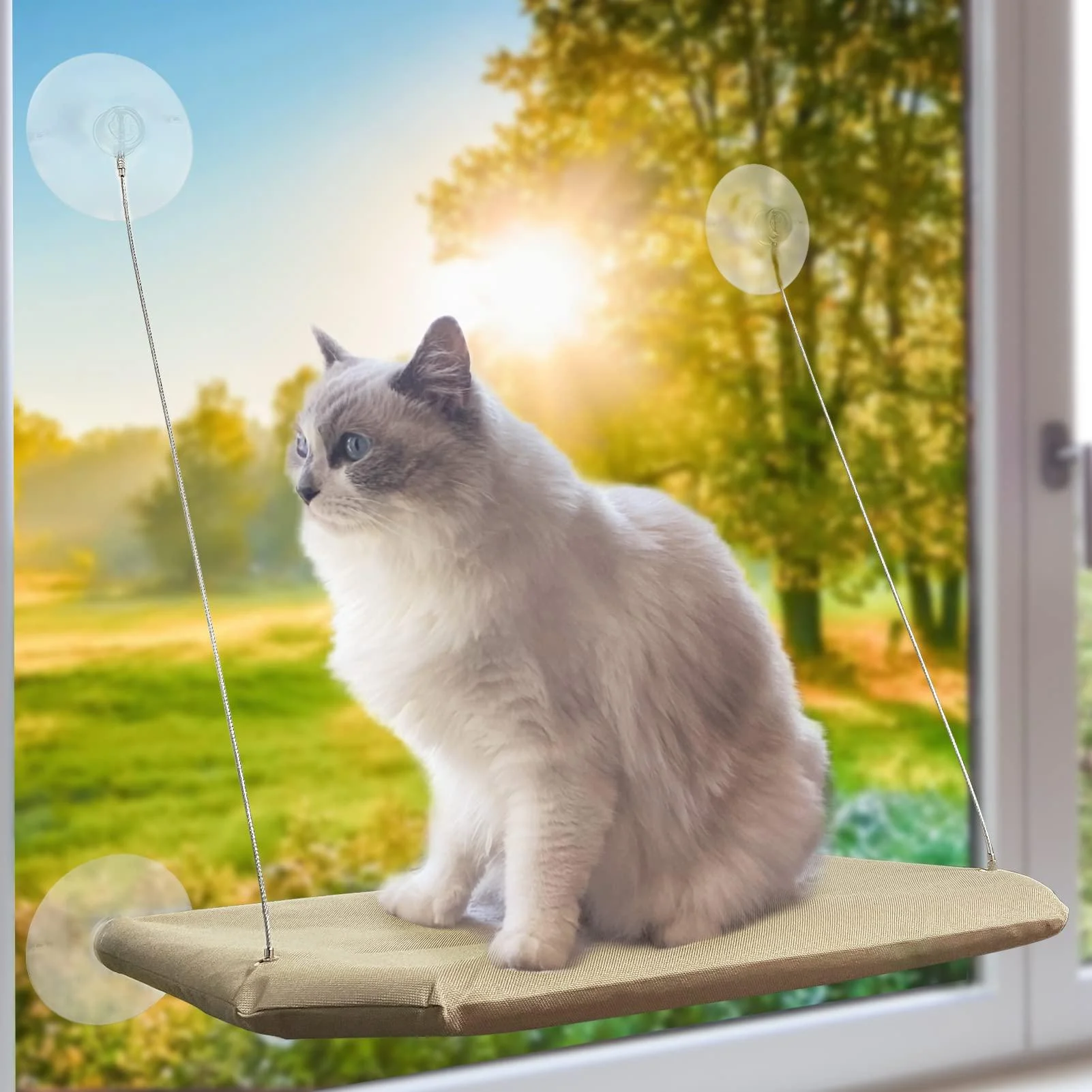 PETPAWJOY Cat Window Perch, Strong Suction Cups Easy Clean Safety Cat Hammock Window Seat for Large Fat Cat or Double Cats (Up to 50lbs) Apricot