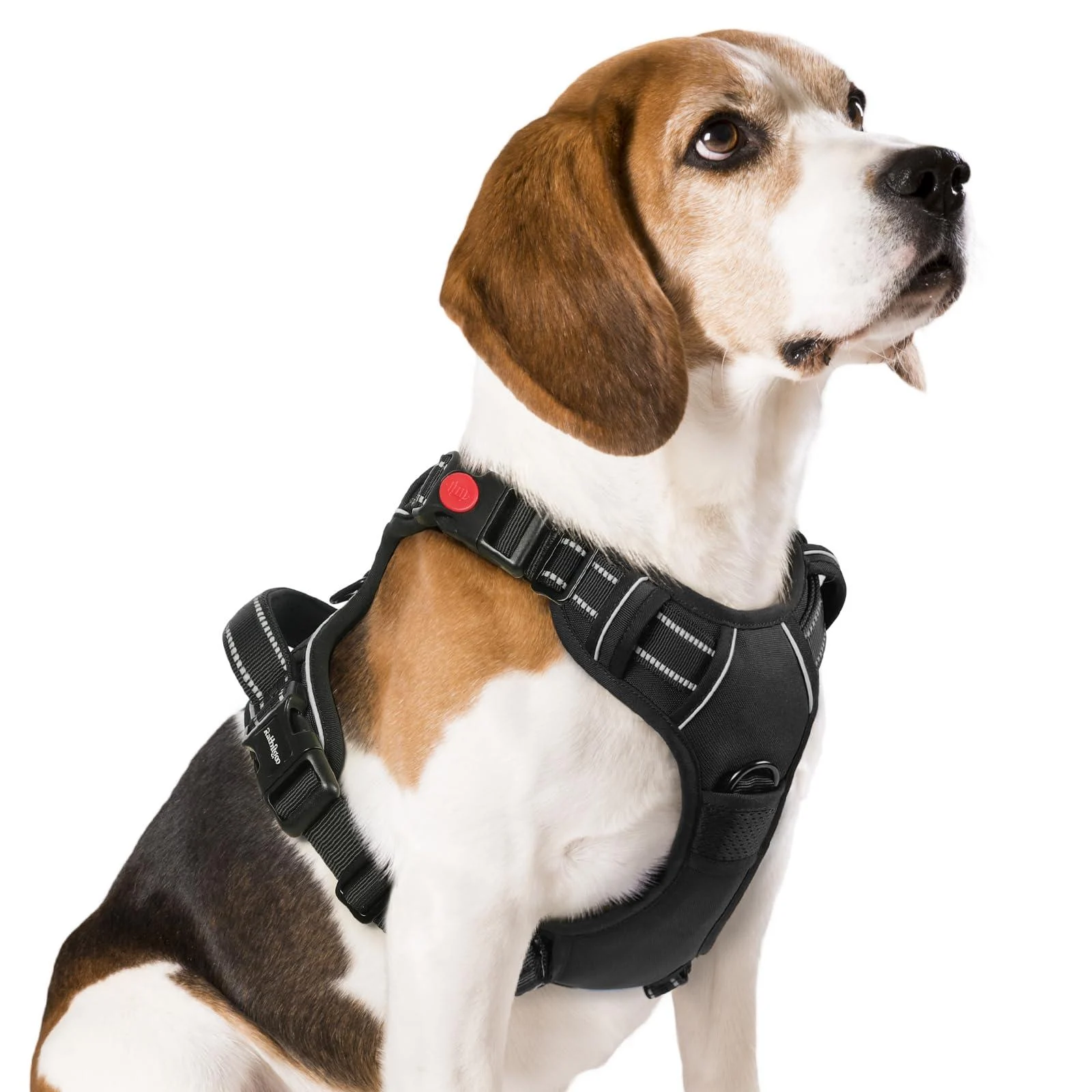rabbitgoo Dog Harness Medium with Neck Release Buckle Adjustable Anti Pull Dog Harness Soft Padded with Front Back Clips and Easy Control Handle Reflective Dog Vest Harness Black M M (Pack of 1) Black