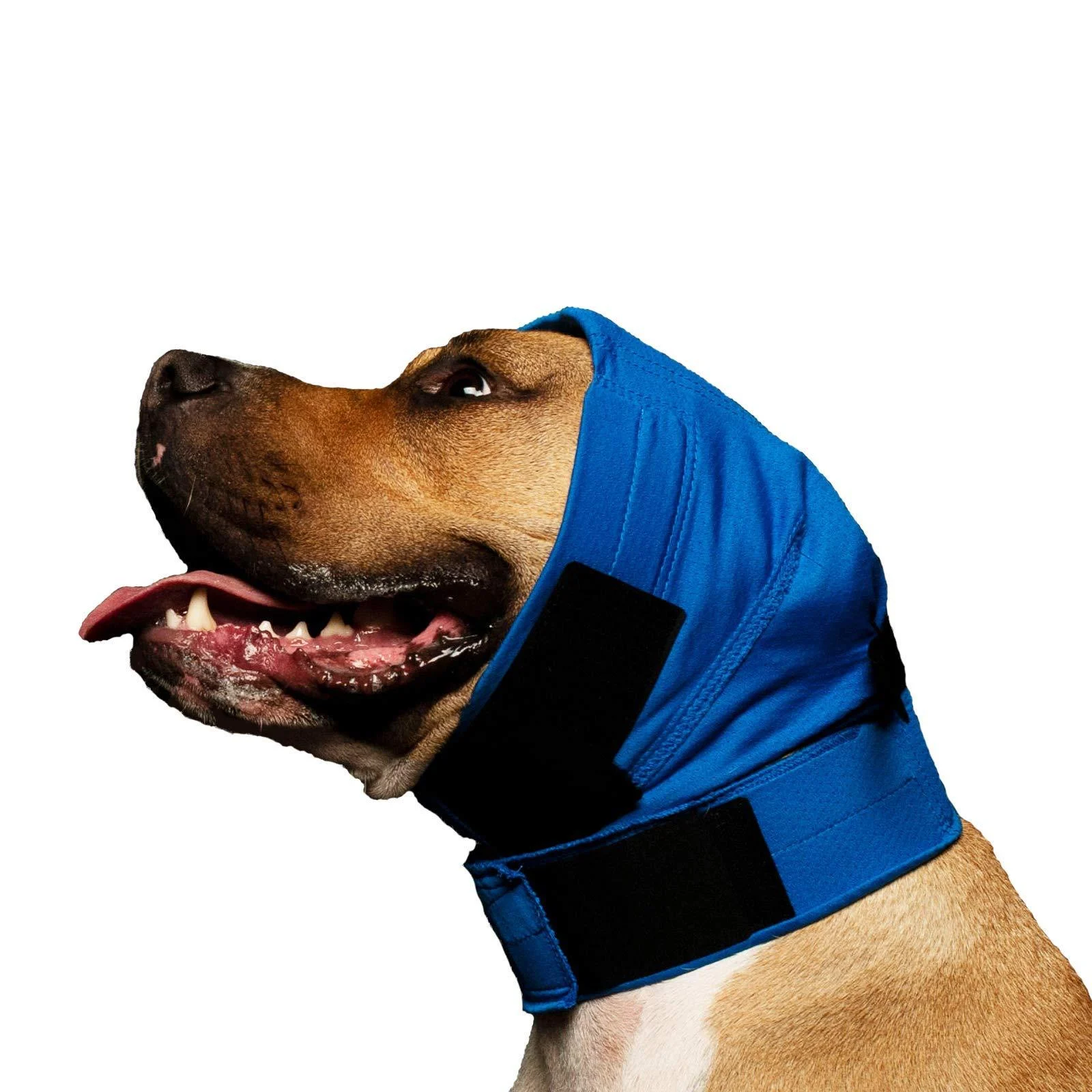 No Flap Ear Wrap The Original (S/M Blue)