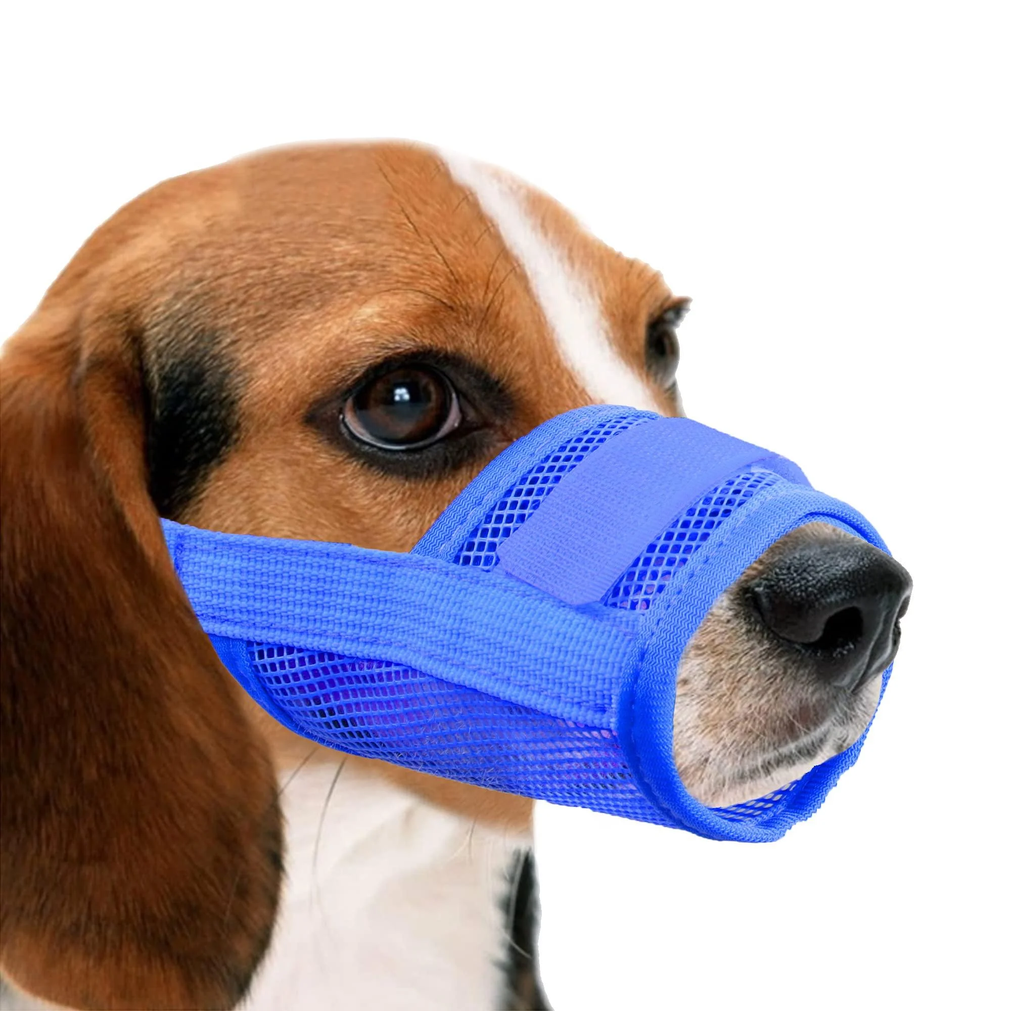 Yaodhaod dogs muzzle nylon-mesh breathable and comfortable quick-seated dog injection with adjustable straps biting chewing and barking (XL blue) XL blue