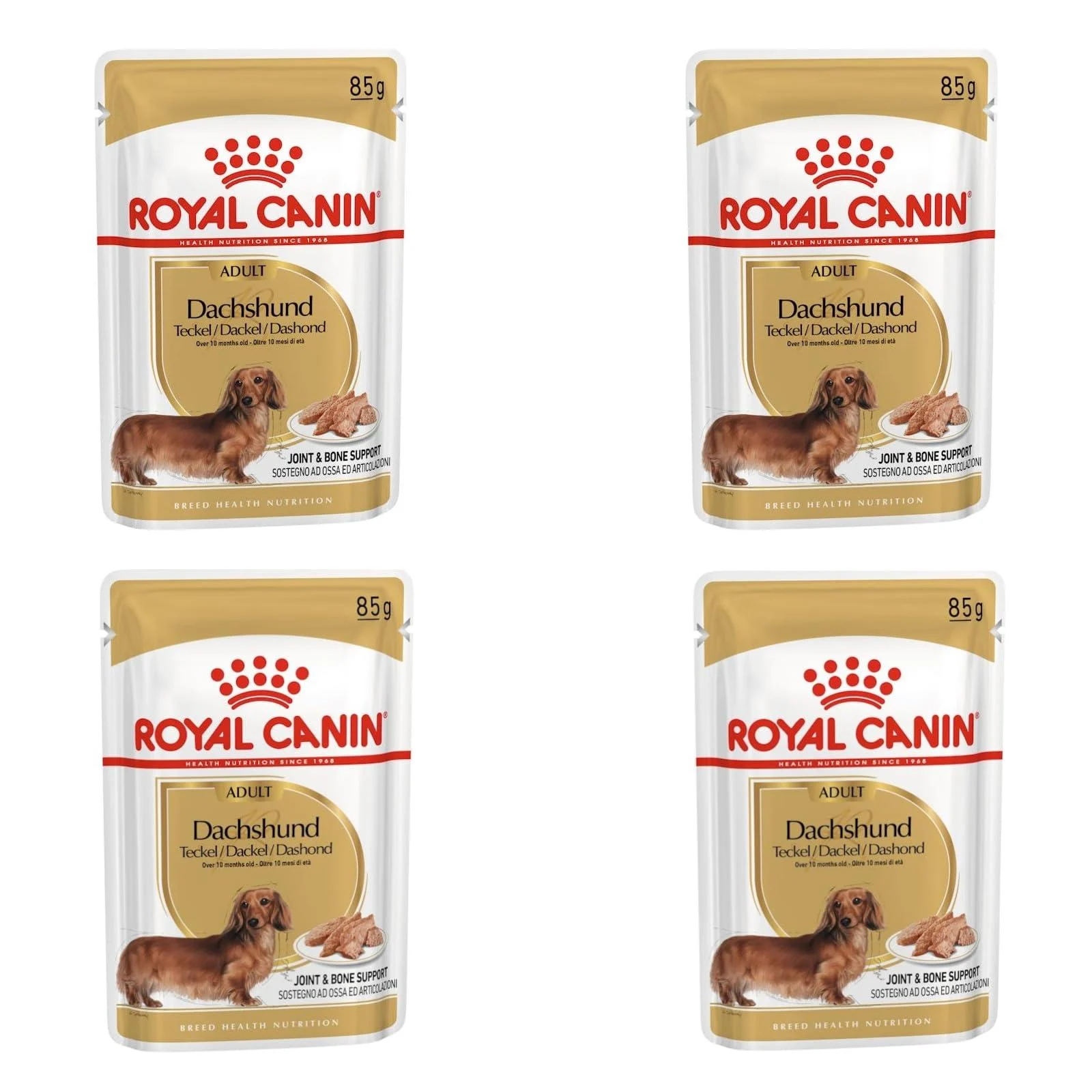 Royal Canin Dachshund Complete Adult Wet Dog Food 48 x 85g