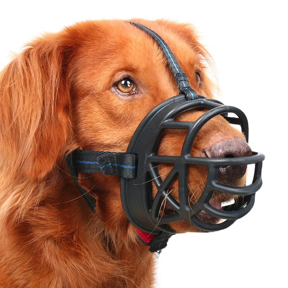 Mayerzon Dog Muzzle Breathable Silicone Anti Barking and Chewing Muzzle (Size5-13/4 in Black) Size5-13/4 in Black
