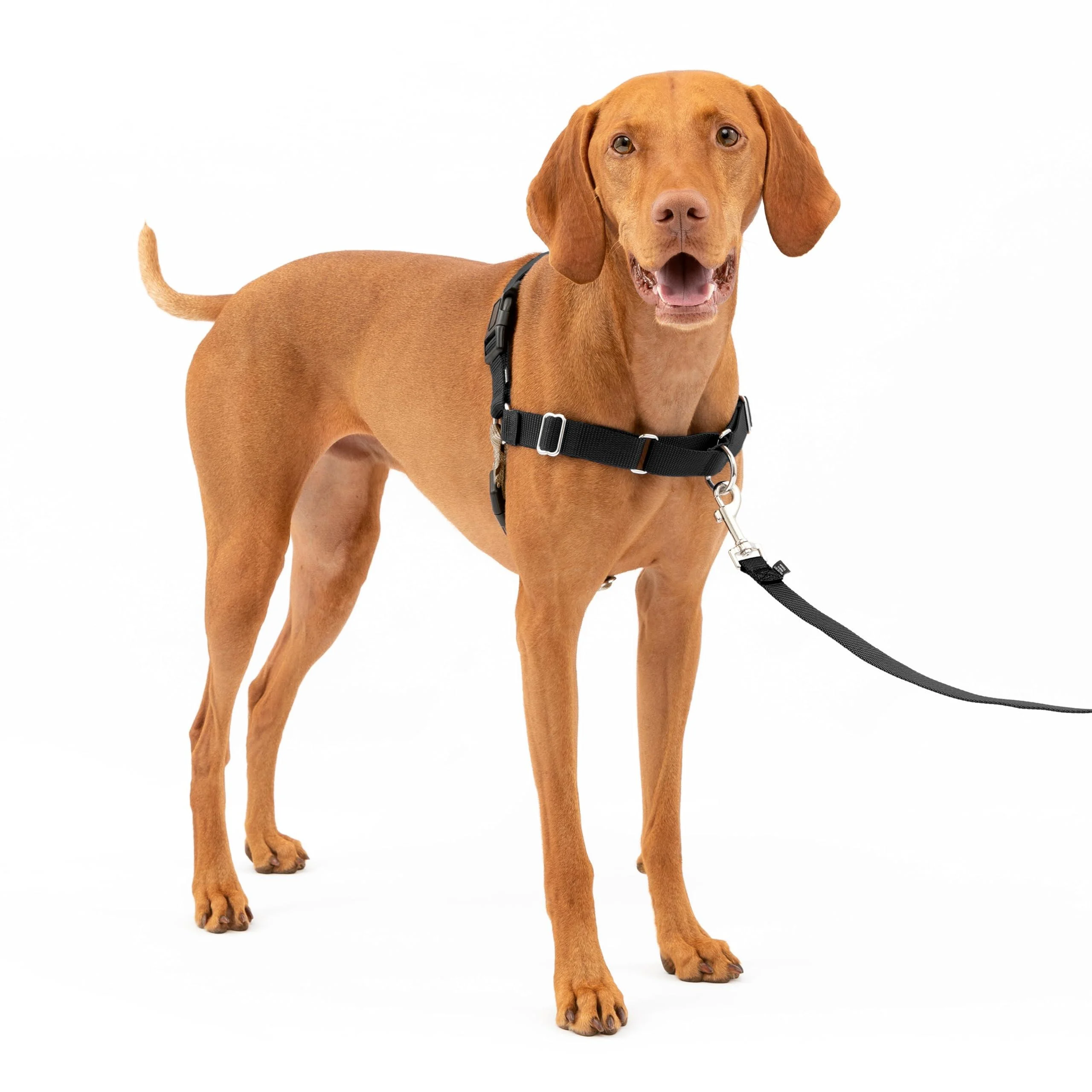 PetSafe Easy Walk Harness No-Pull Walking Harness for Dogs Adjustable Fit Includes 1.8m Lead Large-Black/Beige Black/Beige Medium