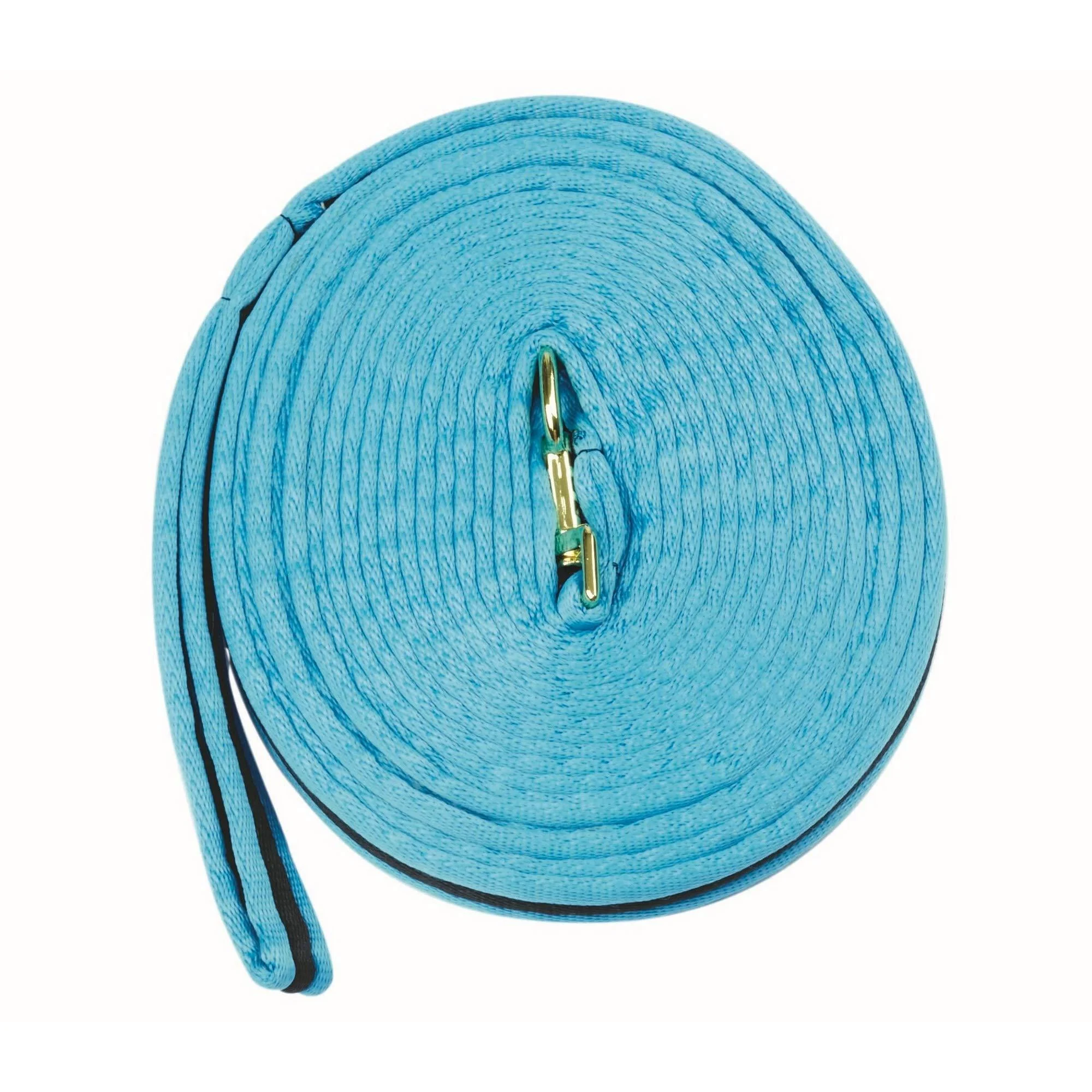 Kincade Brights Two Tone Padded Lunging Rein - Aqua/Black - 26'