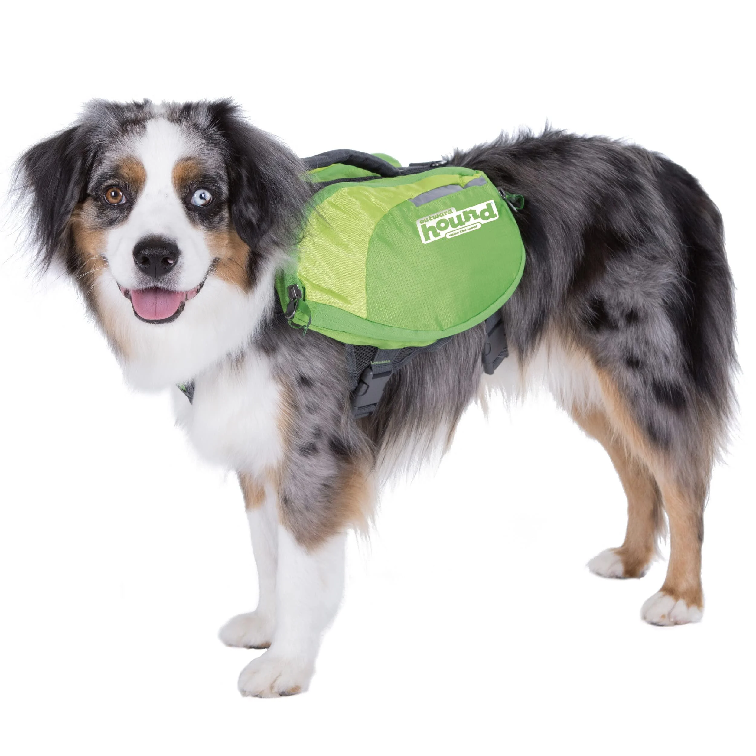 Outward Hound DayPak Green Dog Saddleback Backpack Medium Green M (Pack of 1)