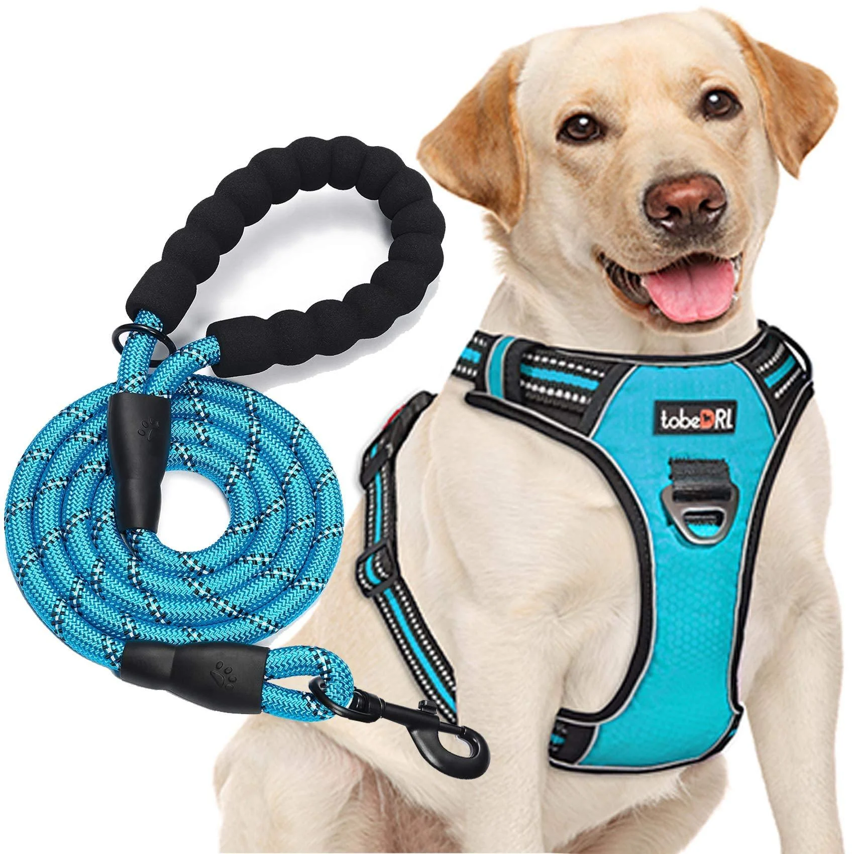tobeDRI No Pull Dog Harness Adjustable Reflective Oxford Easy Control Medium Large Dog Harness with A Free Heavy Duty 5ft Dog Leash Large Blue Harness+Leash