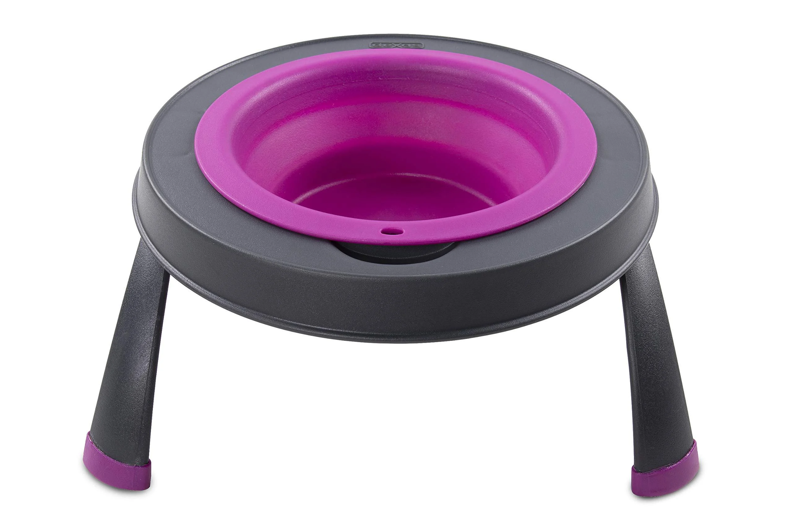 Dexas Popware for Pets Single Elevated Pet Feeder Small/1.5 Cup Capacity Fuchsia