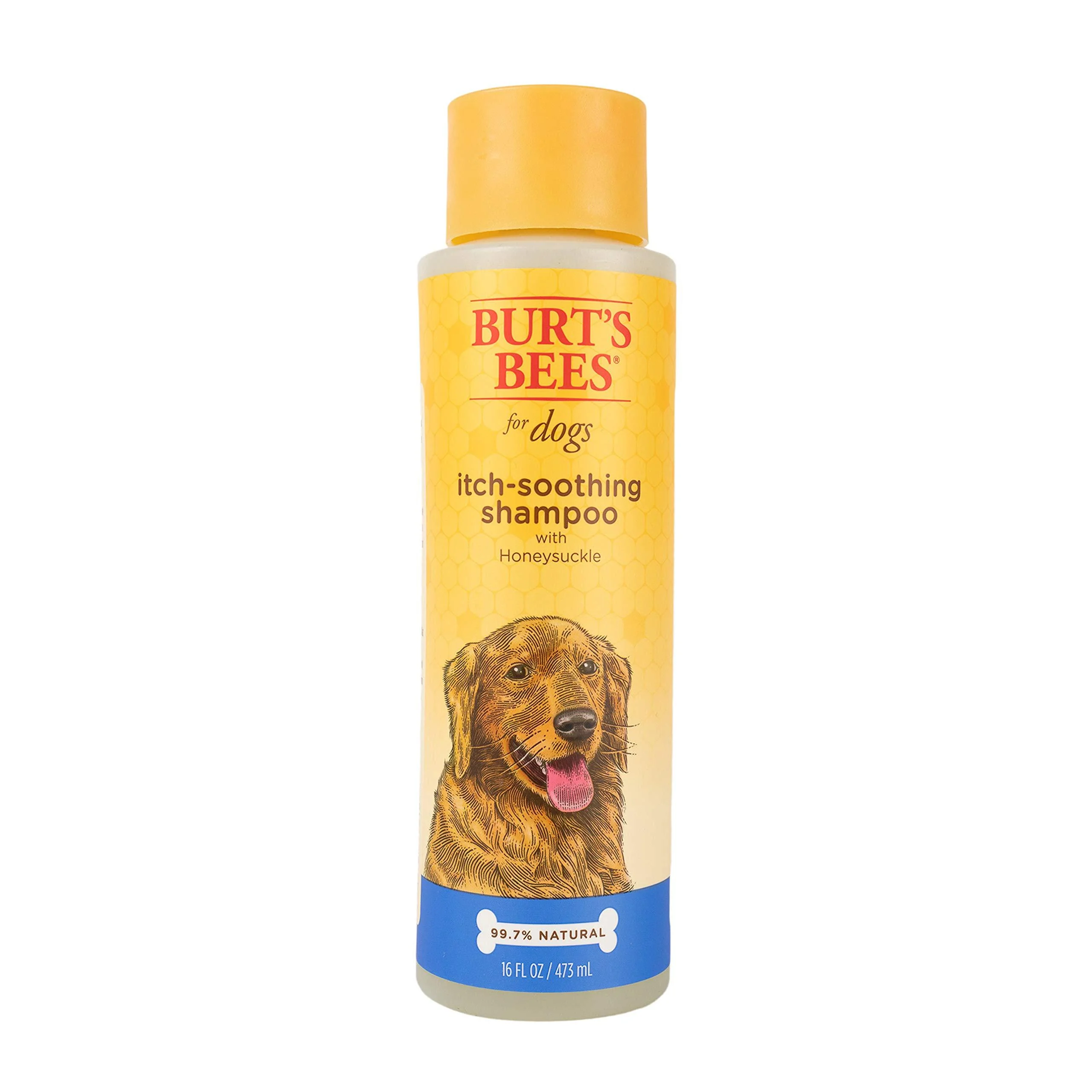 Burt's Bees for Dogs Itch Soothing Shampoo and Spray, Honeysuckle - Dog Grooming Supplies, Dog Wash, Dog Shampoo, Pet Shampoo, Dog Itch Shampoo, Puppy Itch Spray, Anti Itch Shampoo 16 oz - 1 Pack