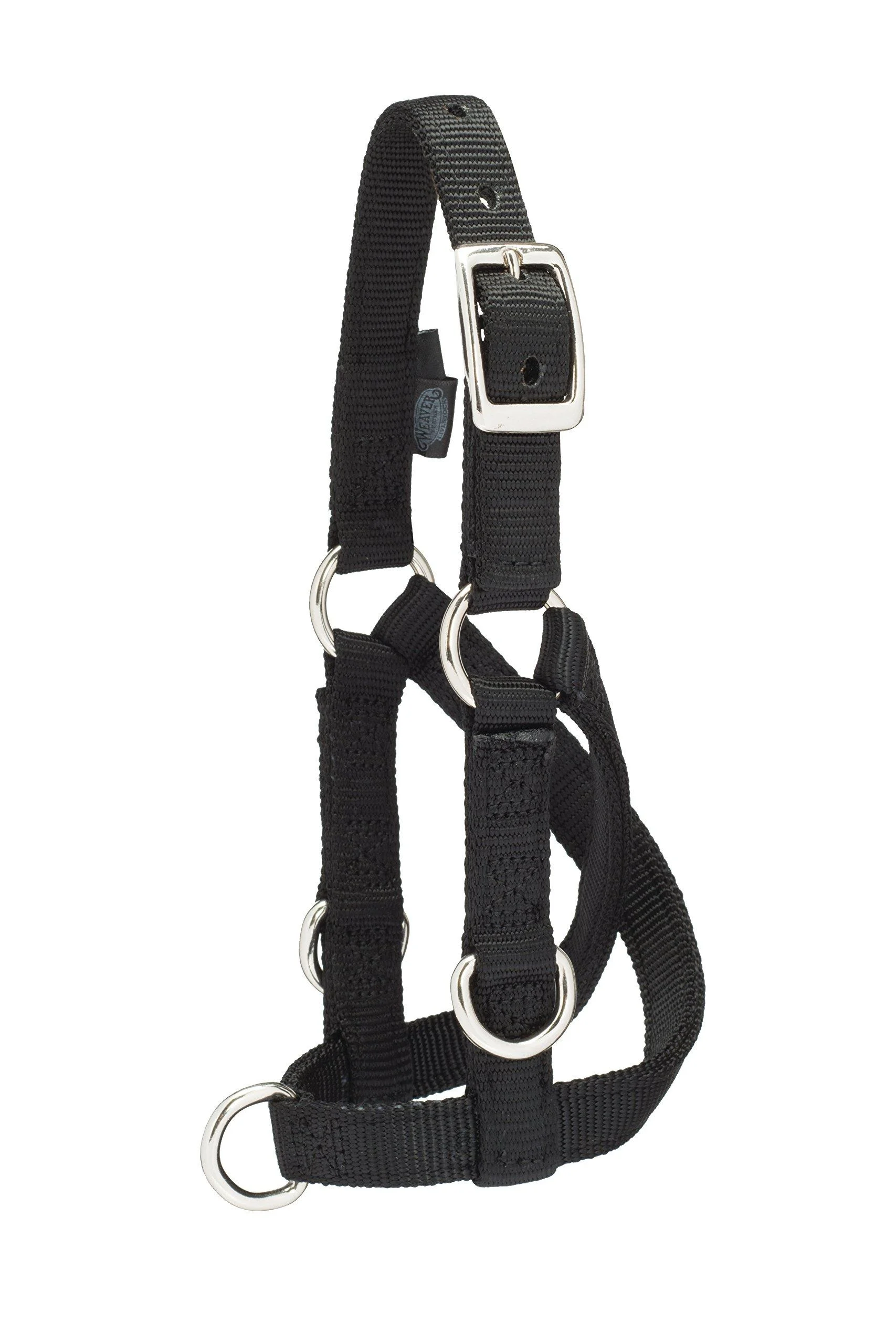 Weaver Leather Livestock Sheep & Goat Training Halter Small