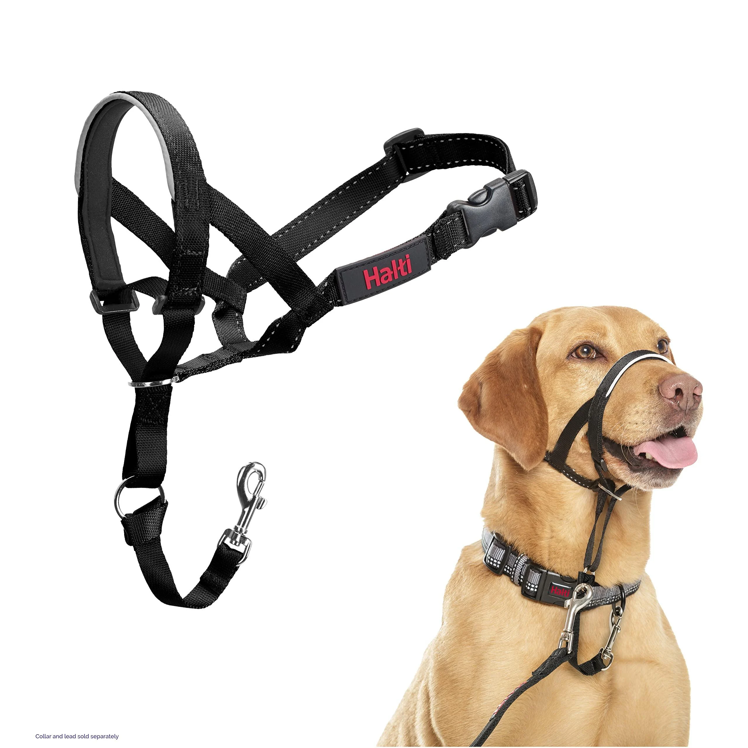 The Company of Animals Halti Head Collar, Head Halter Collar for Dogs, Head Collar to Stop Pulling for Dogs (Package May Vary) 3 Black