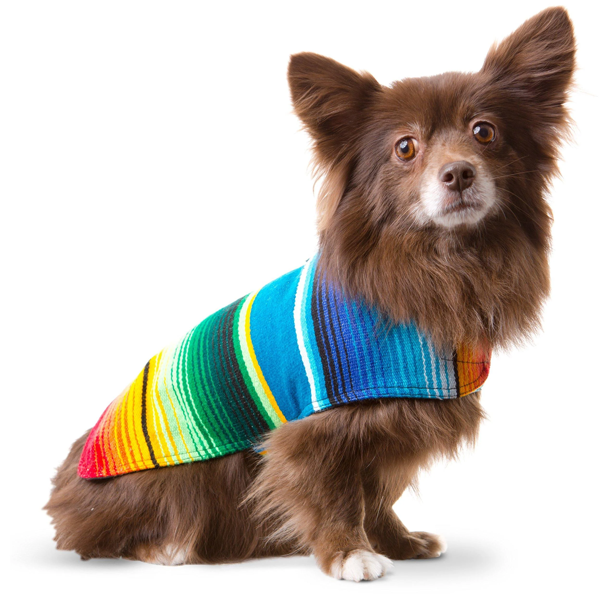 Dog Clothes - Handmade Dog Poncho from Authentic Mexican Blanket by Baja Ponchos (Blue, Small) Blue Small