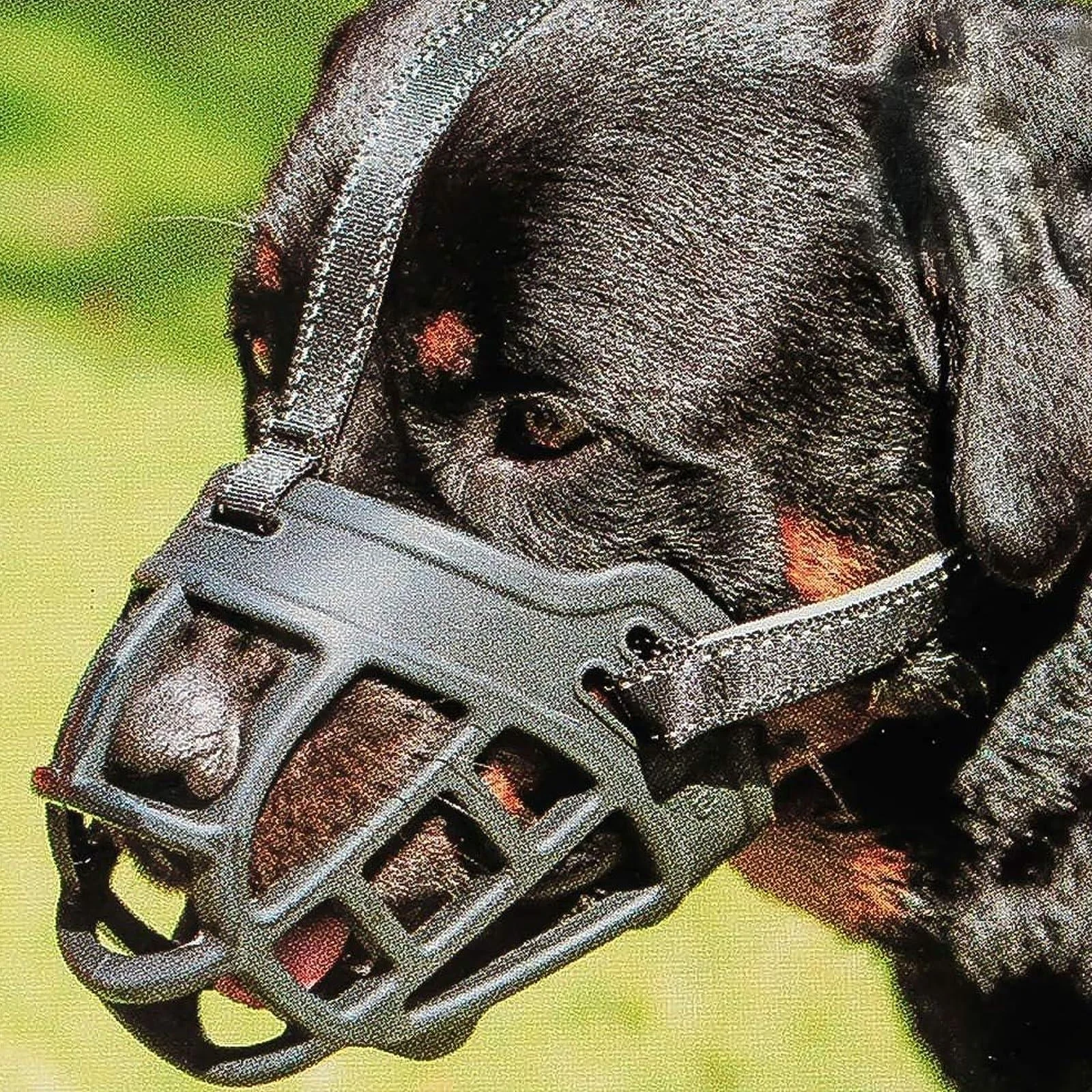 Barkless muzzle for dogs soft silicone basket for dogs bite chew and bark enables drinking and panting used with collar 5 (snout 13.5-14.5 ") black