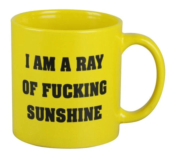 I Am A Ray Of F*cking Sunshine Mug | 22oz - New