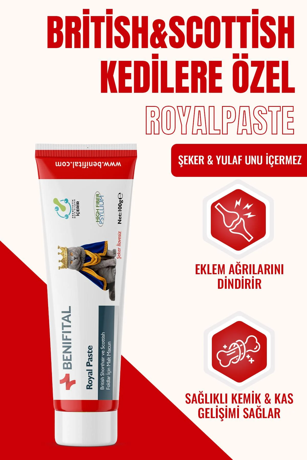Benifital Royal Paste 100 gr British and Scottish Fold Joint and Muscle System Support Premium Malt - Beneficial