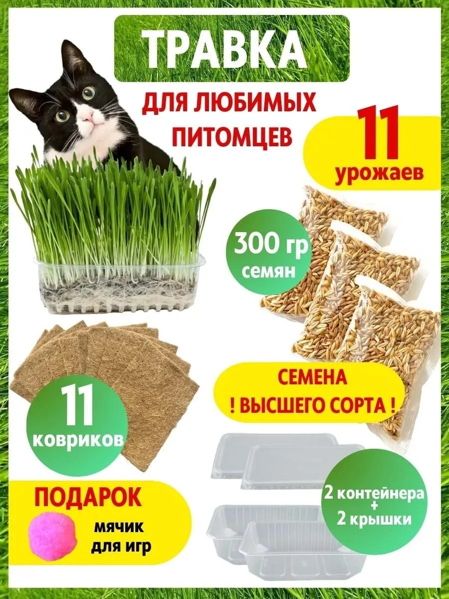 GreenFood Grass for cats. Set for growing for 10 landings