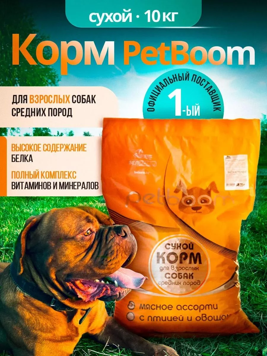 Belkorm Dry feed for dogs of medium rocks 10 kg