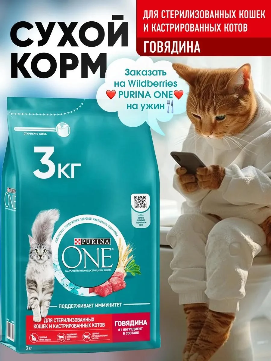 PURINA ONE Purinaone food for sterilized cats beef 3kg